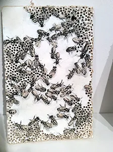 Artwork by Janice Redman