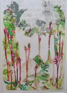 Peonies Early Spring II, Andrea Moore