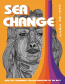 sea change 2022 cover